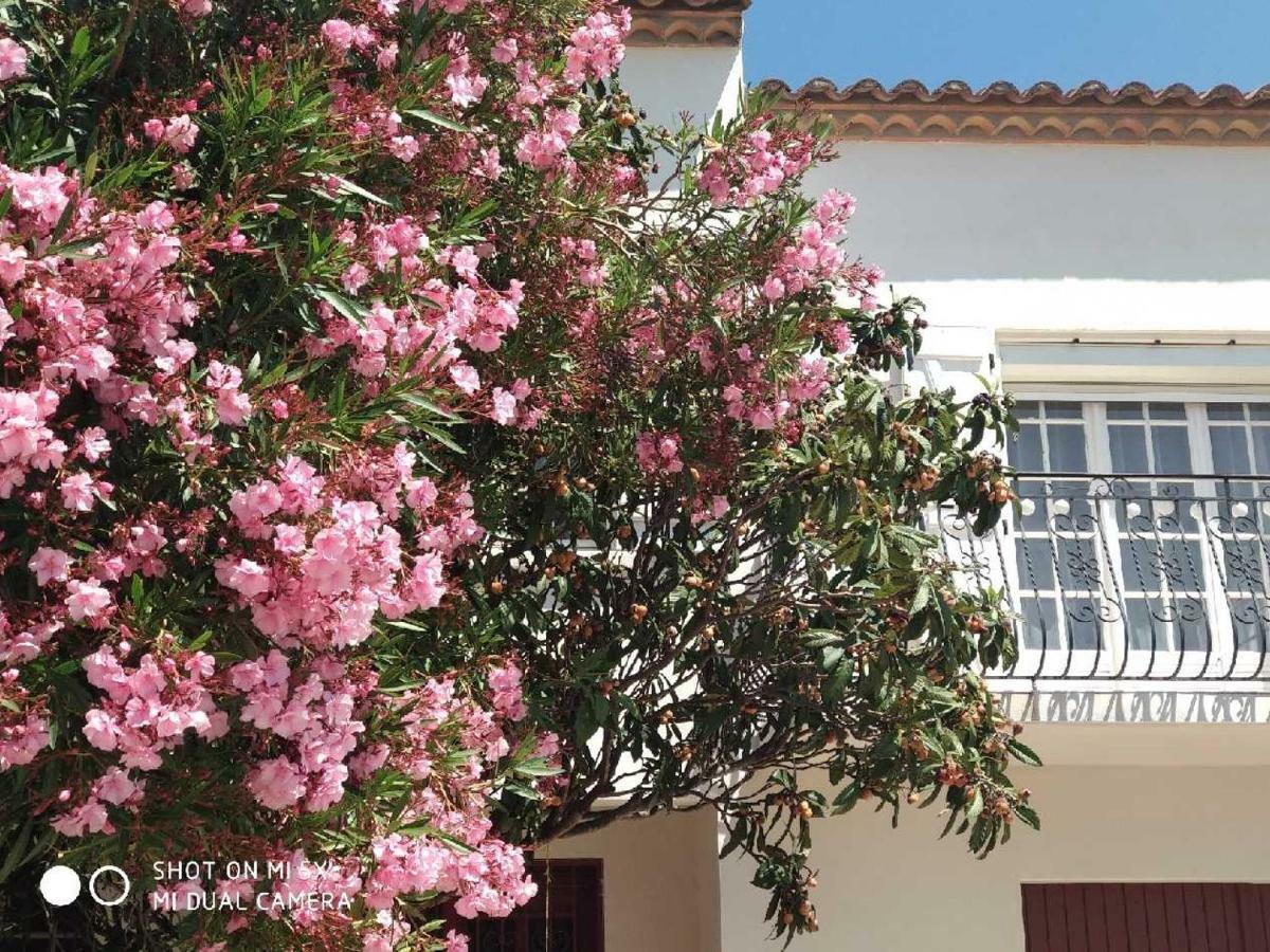 Les Lauriers Roses Apartment Narbonne Luaran gambar